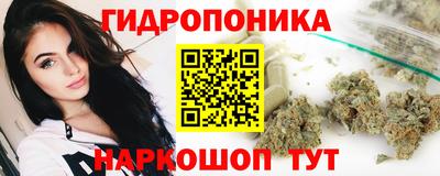 мдпв Партизанск