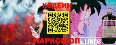 мдпв Партизанск