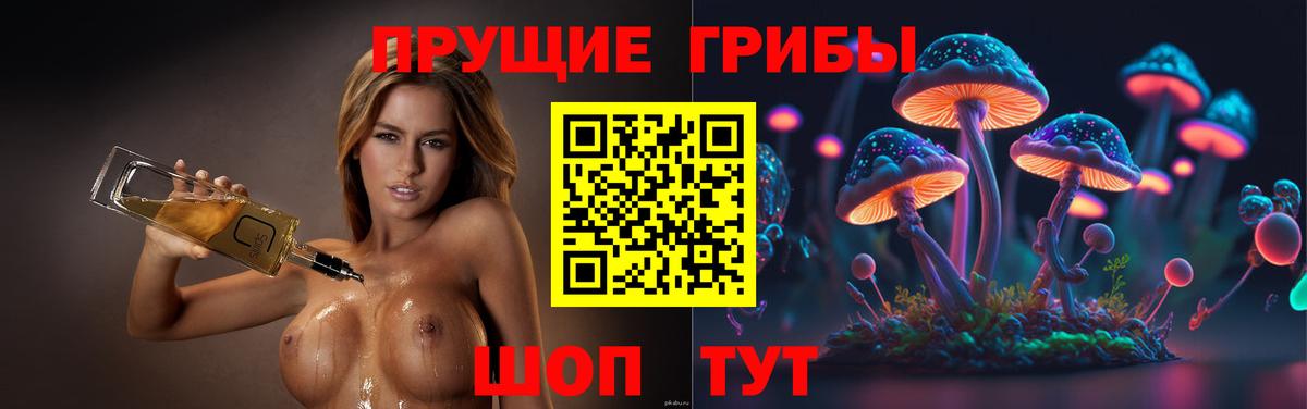 Отрадное  Псилоцибиновые грибы GOLDEN TEACHER  Вход с VPN 